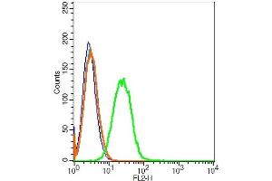 Raji cells probed with 	CD45 Polyclonal Antibody, Unconjugated  at 1:20 for 30 minutes followed by incubation with a conjugated secondary (PE Conjugated) (green) for 30 minutes compared to control cells (blue), secondary only (light blue) and isotype control (orange). (CD45 抗体  (AA 1210-1304))