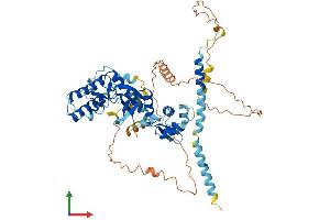 Protein Structure (PS) image for RIO Kinase 2 (RIOK2) (AA 1-547) protein (His tag) (ABIN7560572)