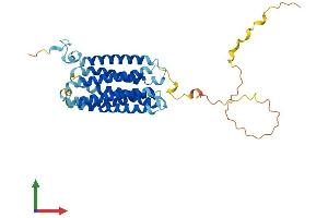 Protein Structure (PS) image for G Protein-Coupled Receptor, Family C, Group 5, Member A (GPRC5A) (AA 1-356) protein (His tag) (ABIN7558648)