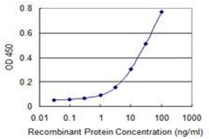 Detection limit for recombinant GST tagged AMOT is 0. (Angiomotin 抗体  (AA 361-460))