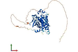 Protein Structure (PS) image for Protein Tyrosine Phosphatase, Non-Receptor Type 20B (PTPN20B) (AA 1-420) protein (His tag) (ABIN7551089)