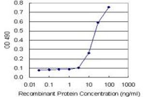 Sandwich ELISA detection sensitivity ranging from 1 ng/mL to 100 ng/mL. (APLN (人) Matched Antibody Pair)
