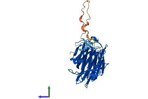 Protein Structure (PS) image for Galectin 4 (LGALS4) (AA 1-326) protein (His tag) (ABIN7559560)