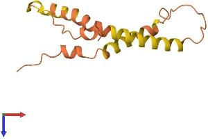 AlphaFold protein structure predicition of Human Recombinant PRR9 Protein, UniprotID Q5T870 (PRR9 Protein (AA 1-116) (His tag))