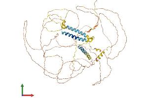 Protein Structure (PS) image for Triadin (TRDN) (AA 1-729) protein (His tag) (ABIN7555825)