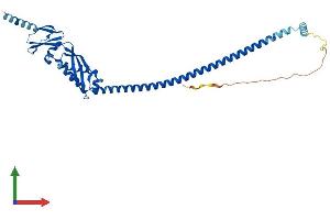 Protein Structure (PS) image for ER Lipid Raft Associated 2 (ERLIN2) (AA 1-340) protein (His tag) (ABIN7558512)