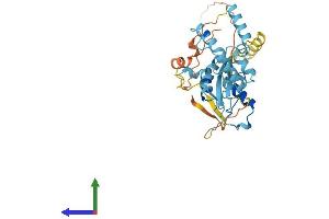 AlphaFold protein structure predicition of Human Recombinant HSP90AA5P Protein, UniprotID Q58FG0 (HSP90AA5P Protein (AA 1-334) (His tag))