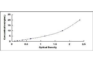 Typical standard curve (WNT4 ELISA 试剂盒)