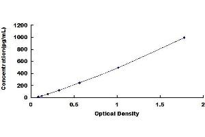 Typical standard curve (VEGFD ELISA 试剂盒)