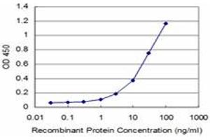 ELISA image for anti-Vav 1 Oncogene (VAV1) (AA 681-790) antibody (ABIN521299)
