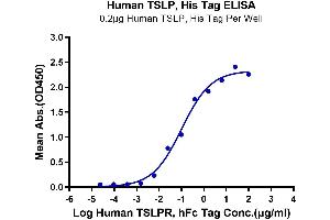 ELISA image for Thymic Stromal Lymphopoietin (TSLP) (AA 29-159) protein (His-Avi Tag) (ABIN7275805)