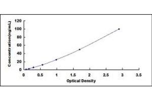 Image no. 1 for Matrix Metalloproteinase 2 (MMP2) ELISA Kit (ABIN1874240)