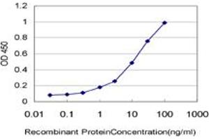 ELISA image for anti-Pyrroline-5-Carboxylate Reductase 3 (PYCRL) (AA 32-131) antibody (ABIN566305)