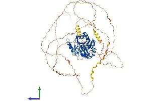 Protein Structure (PS) image for Cytoplasmic Polyadenylation Element Binding Protein 3 (CPEB3) (AA 1-698) protein (His tag) (ABIN7546672)