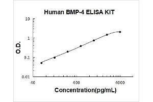 Bone Morphogenetic Protein 4 (BMP4) ELISA Kit