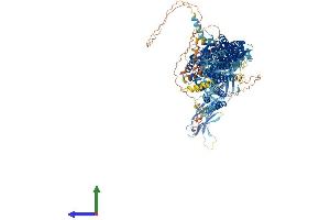 Protein Structure (PS) image for Ca++-Dependent Secretion Activator (CADPS) (AA 1-1353) protein (His tag) (ABIN7552838)