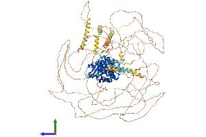 AlphaFold protein structure predicition of Mouse Recombinant Scaf8 Protein, UniprotID Q6DID3