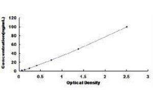 Anti-Complement 1q Antibody (Anti-C1q) ELISA Kit