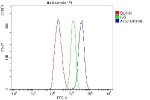 Flow Cytometry analysis of C6 cells using anti-ATG7 antibody (ABIN7603109). (ATG7 抗体  (N-Term))