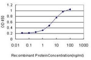Detection limit for recombinant GST tagged RACGAP1 is approximately 0. (RACGAP1 抗体  (AA 1-110))