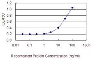 Detection limit for recombinant GST tagged NUDCD2 is 1 ng/ml as a capture antibody. (NUDCD2 抗体  (AA 1-157))