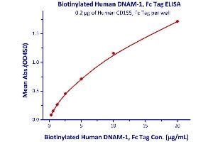 Image no. 1 for CD226 (CD226) (AA 19-247) (Active) protein (Fc Tag,AVI tag,Biotin) (ABIN4949020)