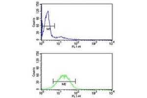Flow Cytometry (FACS) image for anti-Voltage-Dependent Anion Channel 1 (VDAC1) (AA 95-124) antibody (ABIN3029603)