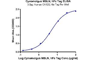 Immobilized Human CA125, His Tag at 5 μg/mL (100 μL/Well). (Mesothelin Protein (MSLN) (Fc Tag))