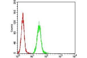 Flow Cytometry (FACS) image for anti-V-Ral Simian Leukemia Viral Oncogene Homolog B (Ras Related, GTP Binding Protein) (Ralb) (AA 89-206) antibody (ABIN5542685)