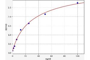 Typical standard curve (Melanocyte Antibody ELISA 试剂盒)