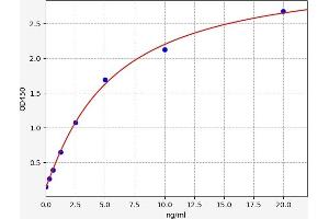 Pim-1 Oncogene (PIM1) ELISA Kit