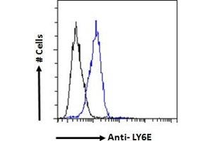 ABIN570878 Flow cytometric analysis of paraformaldehyde fixed NIH3T3 cells (blue line), permeabilized with 0. (LY6E 抗体  (Internal Region))