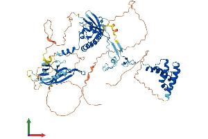Protein Structure (PS) image for SUZ12 Polycomb Repressive Complex 2 Subunit (SUZ12) (AA 1-739) protein (His tag) (ABIN7555668)