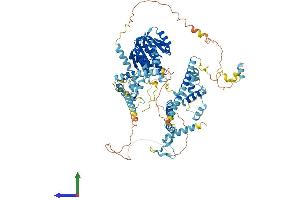 Protein Structure (PS) image for FtsJ Homolog 3 (FTSJ3) (AA 1-847) protein (His tag) (ABIN7555548)