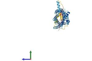 Protein Structure (PS) image for Chemokine (C-X3-C Motif) Receptor 1 (CX3CR1) (AA 1-354) protein (His tag) (ABIN7556337)