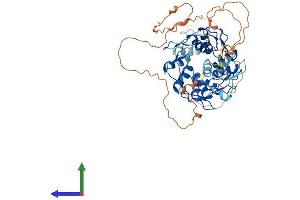 AlphaFold protein structure predicition of Human Recombinant ZNF329 Protein, UniprotID Q86UD4