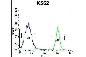 PTMS Antibody (C-term) (ABIN656745 and ABIN2845967) flow cytometric analysis of K562 cells (right histogram) compared to a negative control cell (left histogram). (Parathymosin 抗体  (C-Term))