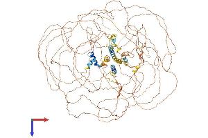 BCL9 Protein (AA 1-1425) (His tag)