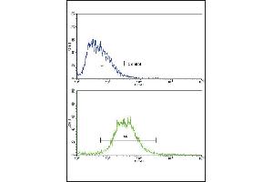 Flow cytometric analysis of HepG2 cells using IL17RB Antibody (Center)(bottom histogram) compared to a negative control cell (top histogram). (IL17 Receptor B 抗体  (AA 207-234))