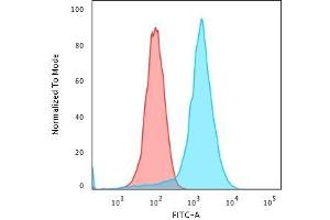 Flow Cytometric Analysis of PFA-fixed K562 cells using CD43 Mouse Recombinant Monoclonal Antibody (rSPN/839) followed by Goat anti-Mouse IgG-CF488 (Blue); Isotype Control (Red) (Recombinant CD43 抗体)