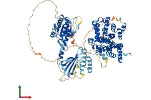 Protein Structure (PS) image for phosphodiesterase 8A (PDE8A) (AA 1-829) protein (His tag) (ABIN7554879)