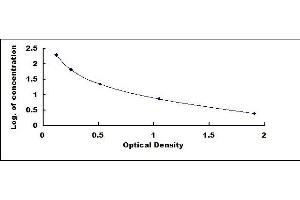 Typical standard curve (Creatinine ELISA 试剂盒)