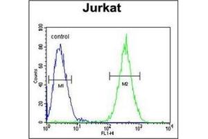 flow cytometric analysis of Jurkat cells using SELPLG Antibody (C-term) Cat. (SELPLG 抗体  (C-Term))