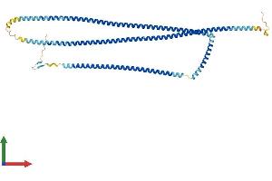 Protein Structure (PS) image for Coiled-Coil Domain Containing 11 (CCDC11) (AA 1-514) protein (His tag) (ABIN7560972)