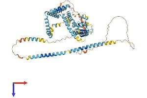 AlphaFold protein structure predicition of Human Recombinant GRAMD4 Protein, UniprotID Q6IC98 (GRAMD4 Protein (AA 1-578) (His tag))