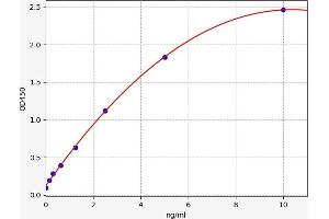 PPP3R1 ELISA 试剂盒