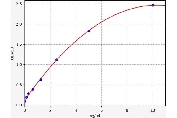 PPP3R1 ELISA 试剂盒