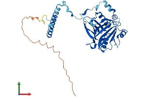 Protein Structure (PS) image for Brix Domain Containing 5 (RPF1) (AA 1-349) protein (His tag) (ABIN7551545)