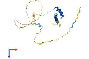 AlphaFold protein structure predicition of Human Recombinant NOTO Protein, UniprotID A8MTQ0 (NOTO Protein (AA 1-251) (His tag))