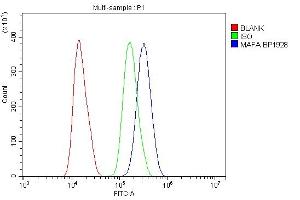 Flow Cytometry analysis of SiHa cells using anti-MAFA antibody (ABIN7602623). (MAFA 抗体  (AA 9-308))